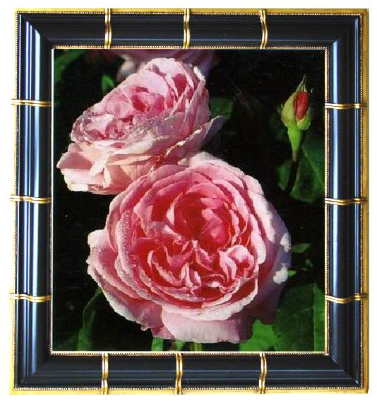 framed  unknow artist Still life floral, all kinds of reality flowers oil painting  355, Ta048
